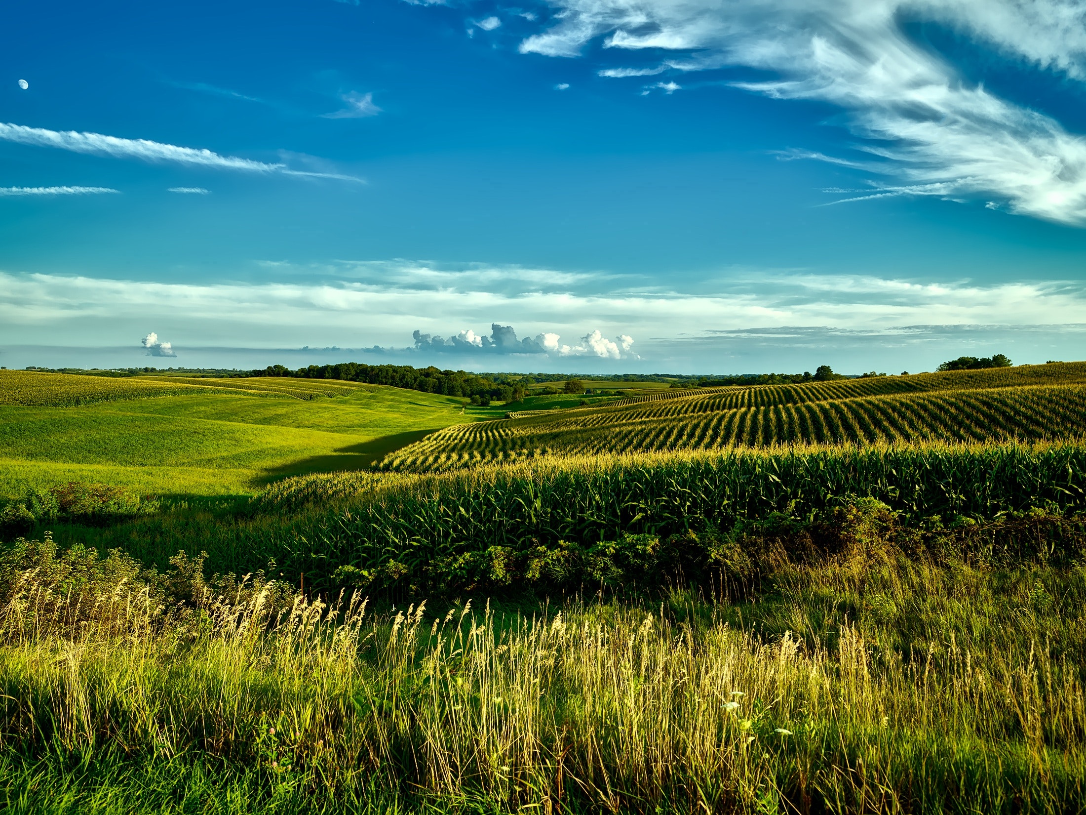 Redox Potential (Eh) and pH as indicators of Soil, Plant and Animal Health and Quality