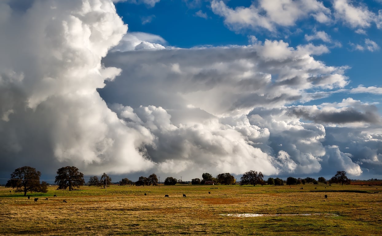 Climate Impacts on Agriculture