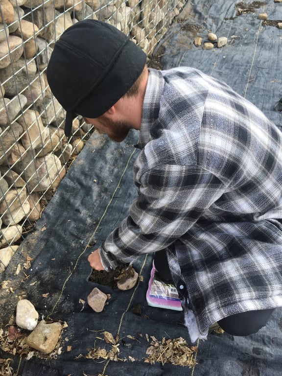 Derek kneels beside a garden bed, planting wildflower seeds into black landscape fabric