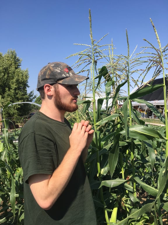 Derek stands beside very tall corn stalks