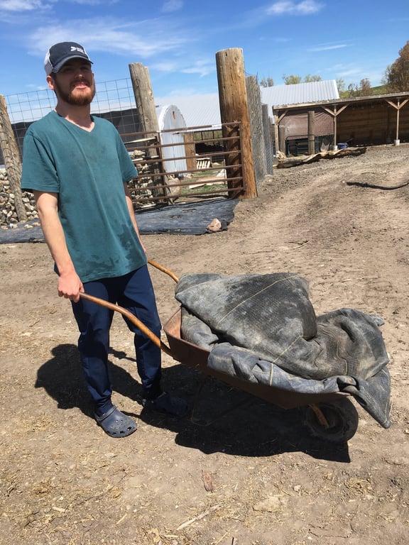 Derek pushes an old metal wheelbarrow down a dirt path near a farmyard.