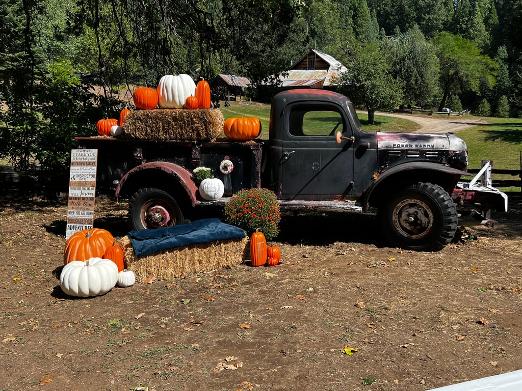 1948 Dodge truck photo opportunity