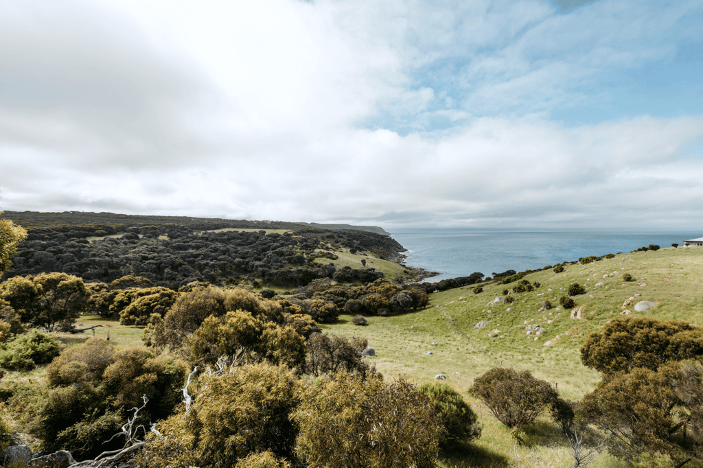 Kangaroo Island nature retreats at Sea Dragon Lodge South Australia, where wildlife encounters meet luxury beachfront living