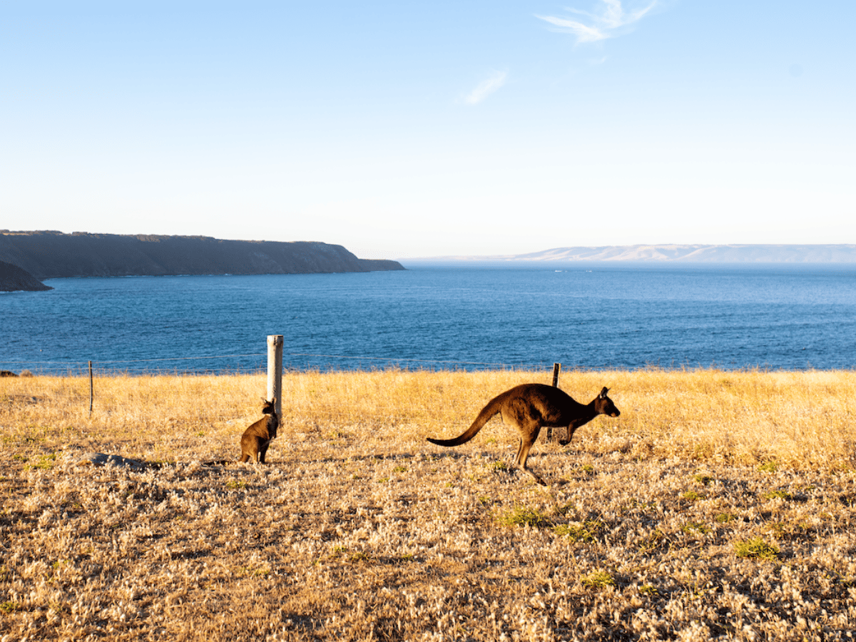 On-Site and Nearby Experiences Kangaroo Island