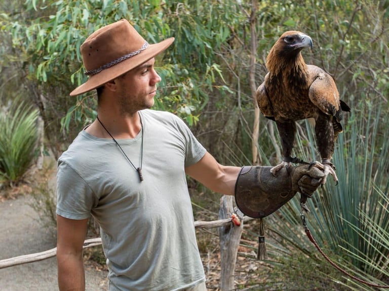 Location Other Attractions Raptor Domain