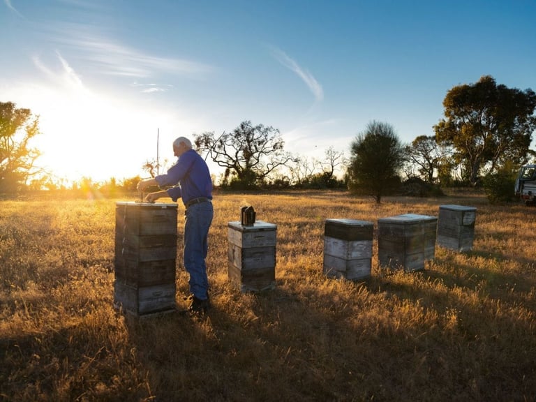 Location other Attractions Island Beehive