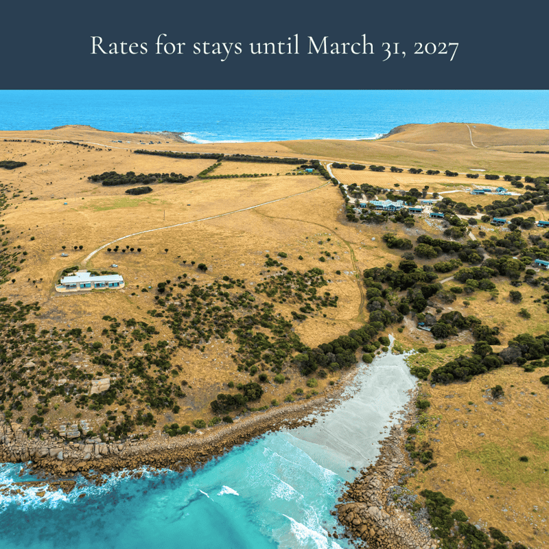 Aerial shot of Sea Dragon property