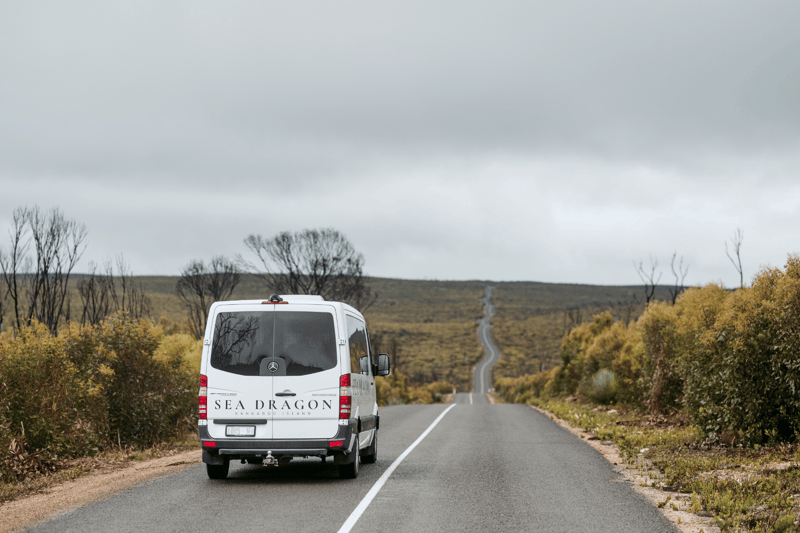 All-inclusive stays at Sea Dragon Lodge Kangaroo Island South Australia, including guided wildlife tours and eco-friendly accommodations