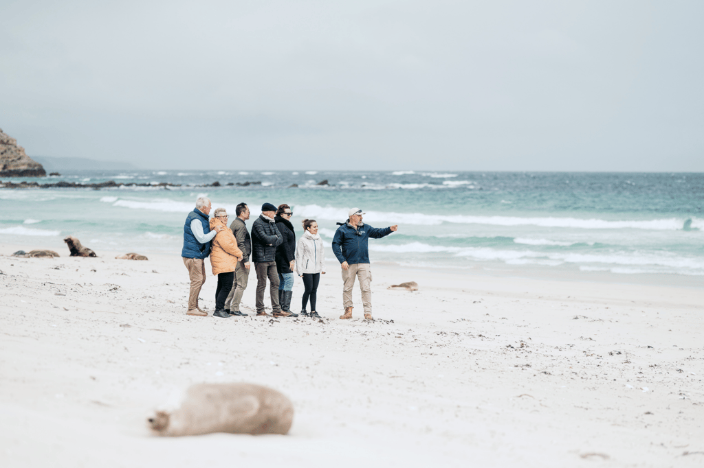 Beachfront lodging at Sea Dragon Lodge Kangaroo Island South Australia, offering wildlife encounters and luxury coastal retreats