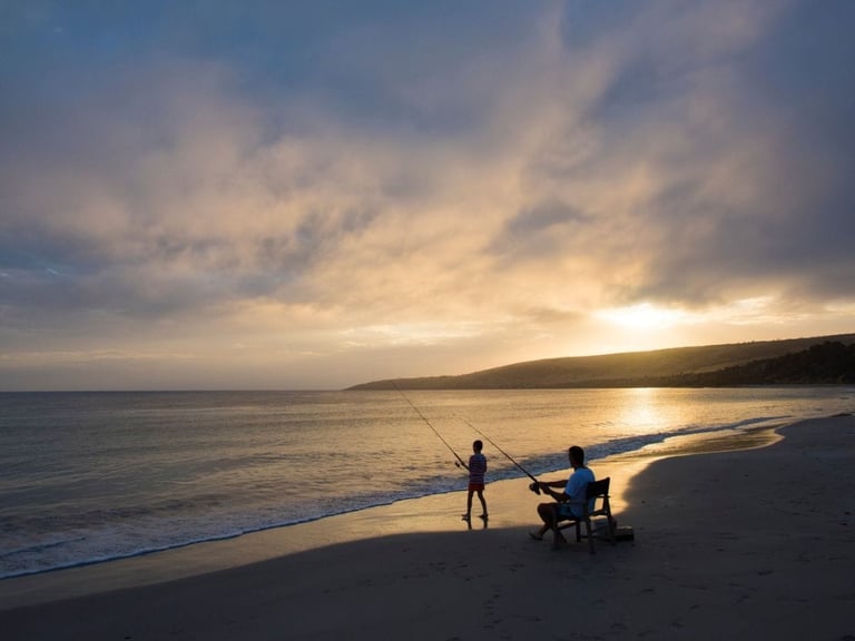 Location Walks Antechamber Bay Sea Dragon Kangaroo Island