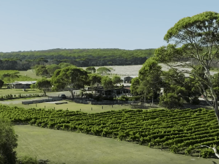 on site nearby experiences tasting wine dudley wines