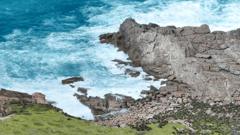 Long-nosed fur seal colony on Kangaroo Island
