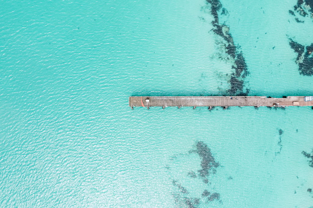 { Sea Dragon } Kangaroo Island, SA