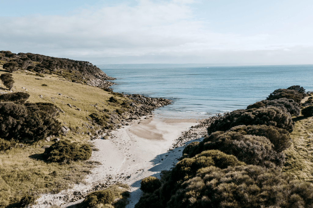 Best views of Kangaroo Island’s beaches and wildlife from Sea Dragon Lodge South Australia’s luxury beachfront accommodation