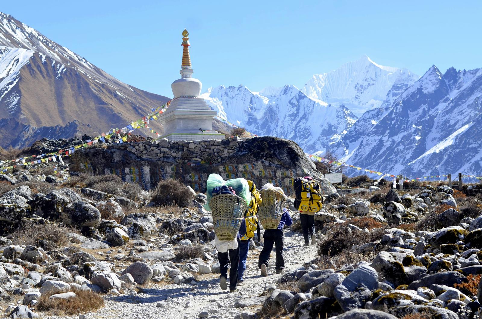 From Kathmandu 5 Day Langtang Valley Guided Trek................ — photo 3