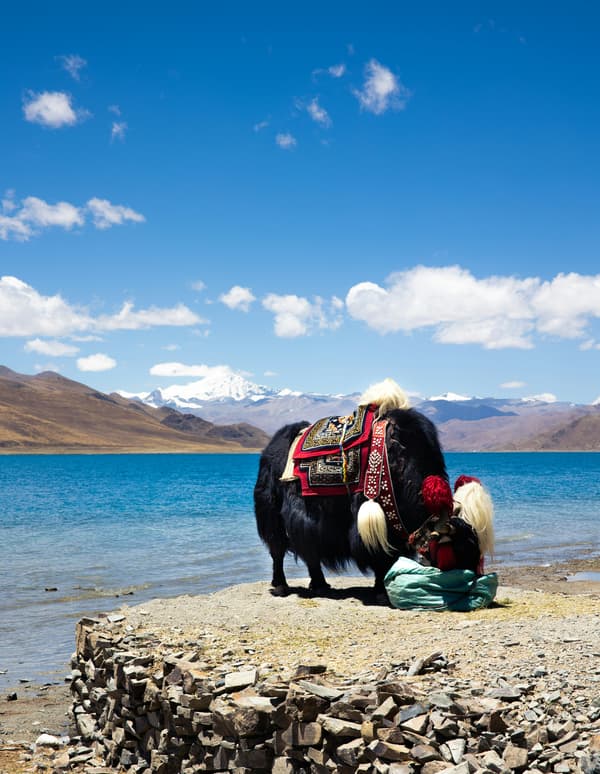 8-Day Tibet Overland Tour from Kathmandu with Everest Base Camp — photo 4