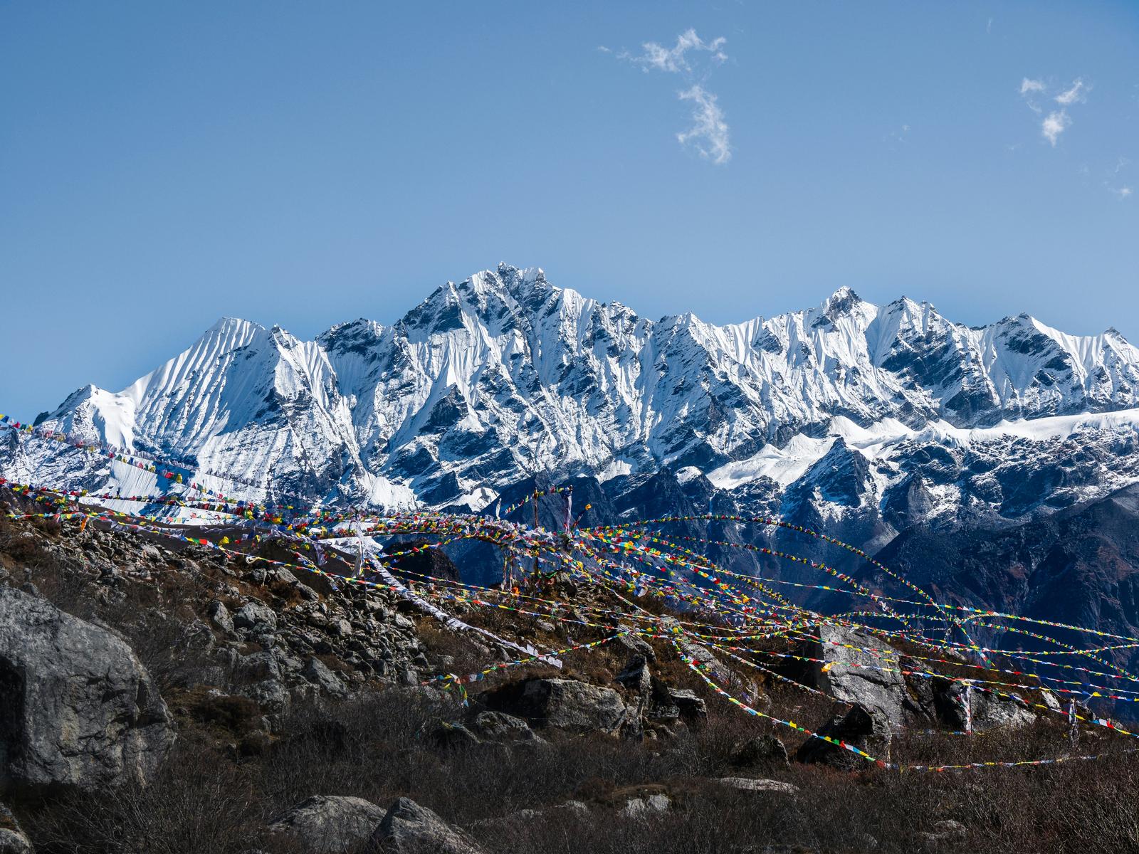 From Kathmandu 5 Day Langtang Valley Guided Trek................ — photo 4