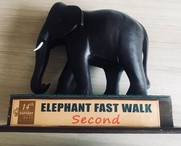 Elephant Race Award
