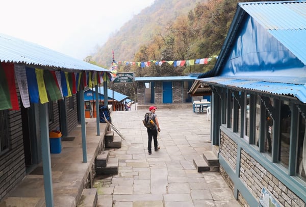 Annapurna Base Camp vs Everest Base Camp: Which Trek Is Right for You? (2026 Guide)