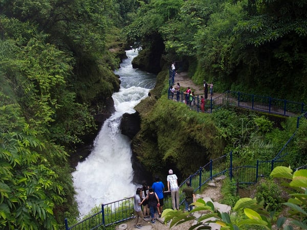Chitwan Pokhara Tour