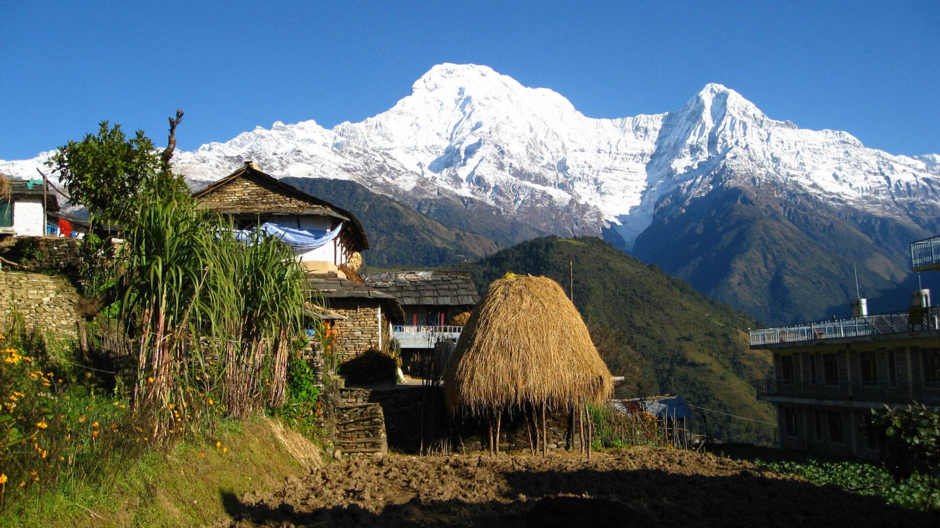 Australian Camp Hike with Sarangkot Sunrise