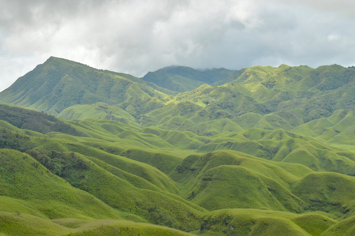 Dzukou Valley (Dzukou Valley)