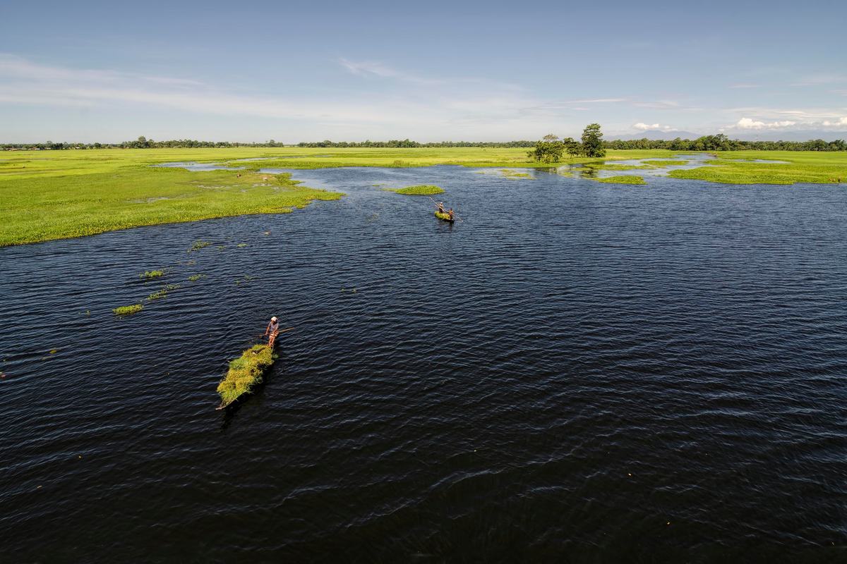 Majuli Island (Majuli)