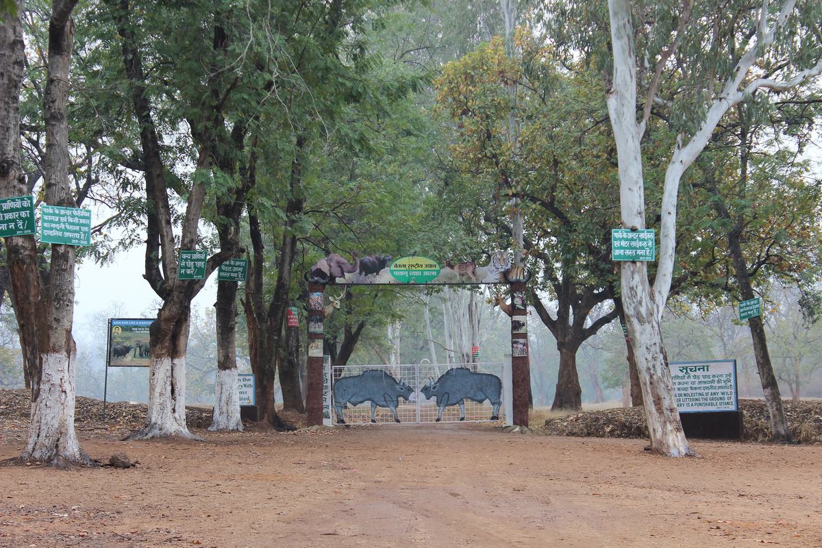 Betla National Park (Betla National Park)