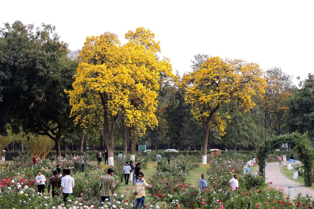 Zakir Hussain Rose Garden (Zakir Husain Rose Garden)