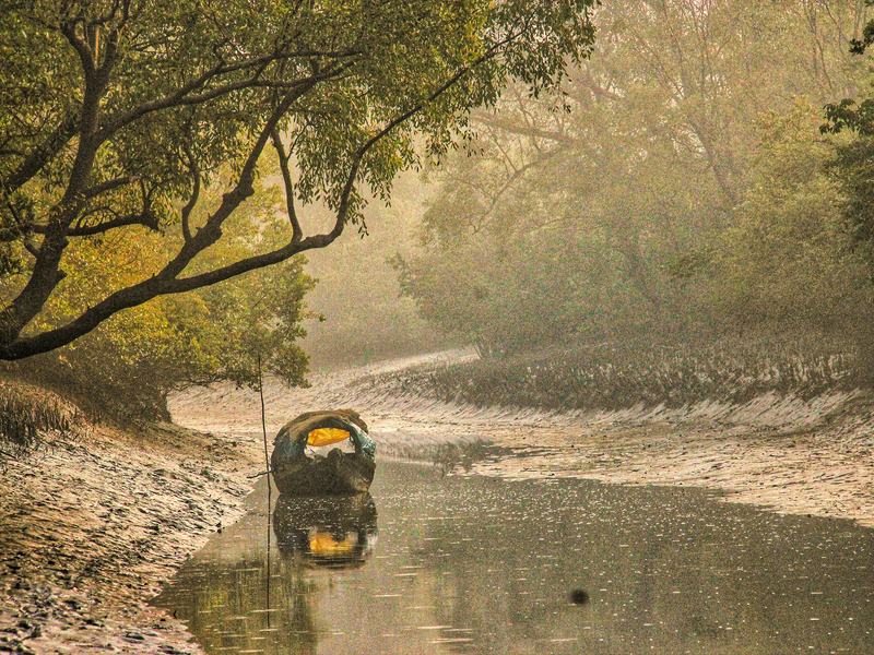 Sundarbans