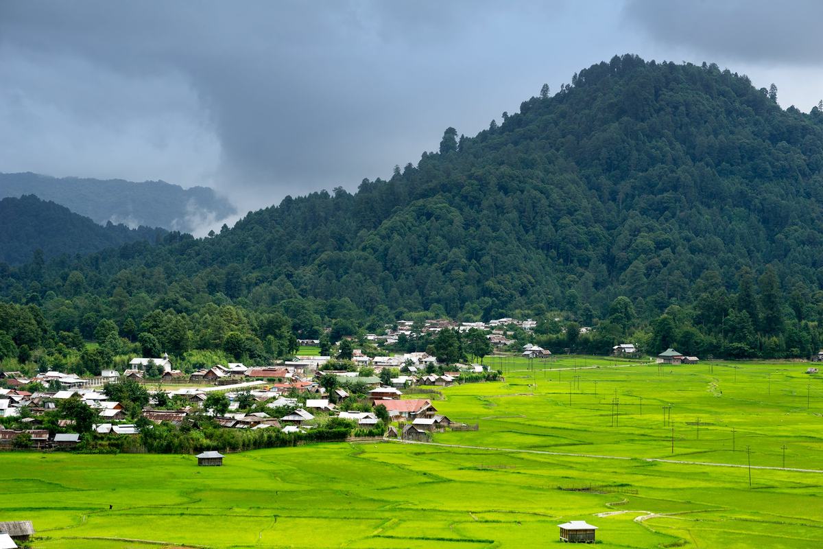 Ziro Valley (Ziro)