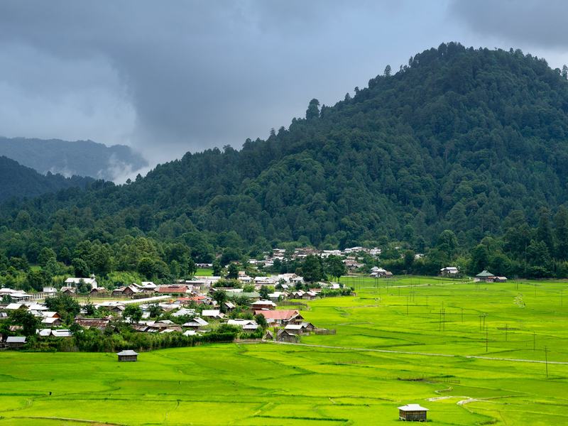 Ziro Valley