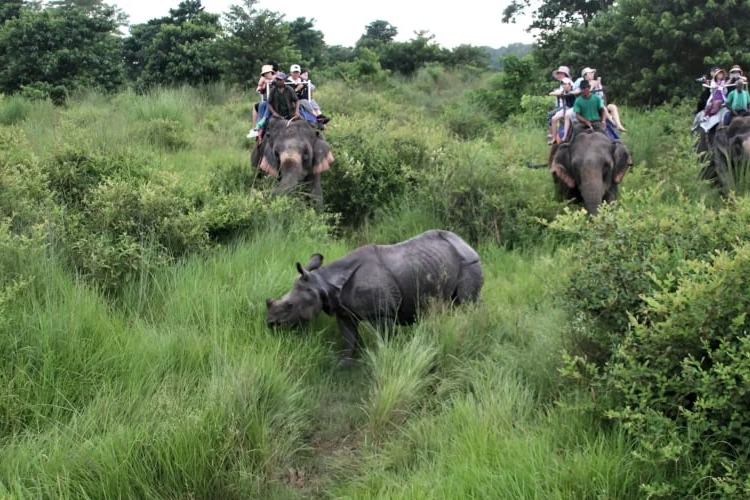 Bardiya