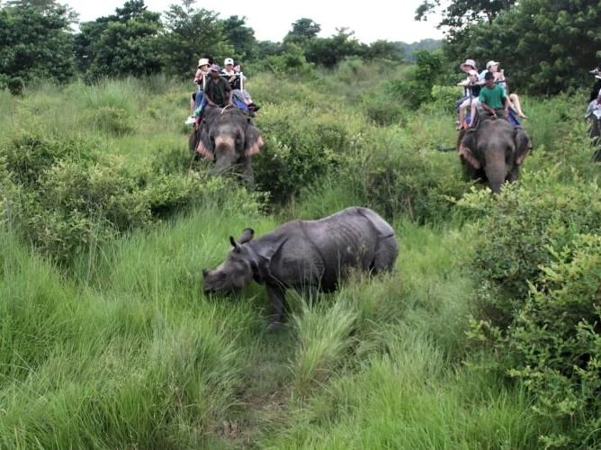 Bardiya National Park