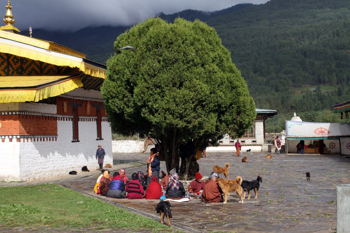 Jambay Lhakhang (Bumthang District)