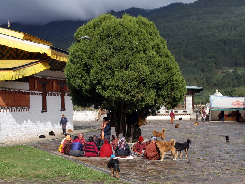 Jambay Lhakhang