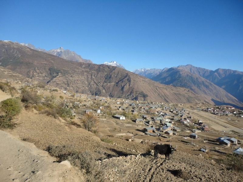 Humla