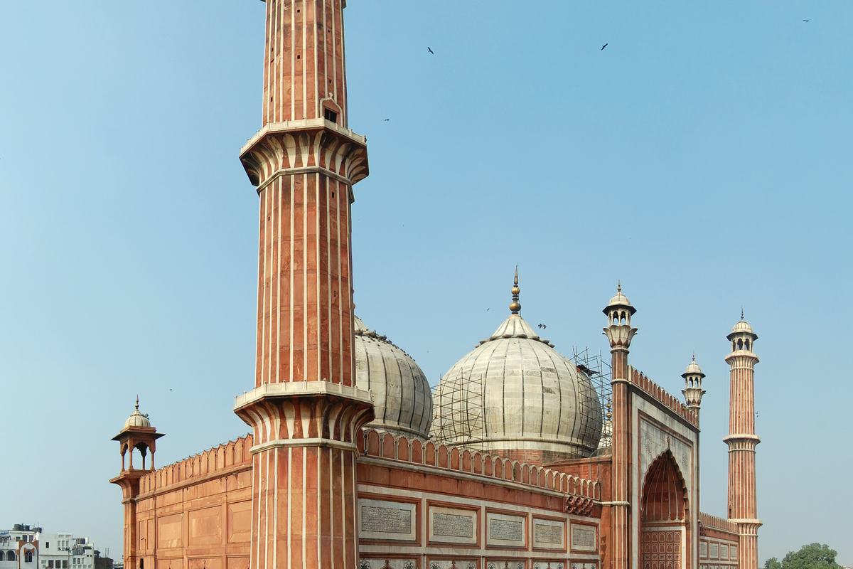 Delhi (NCT)