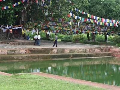 Lumbini Sacred Garden