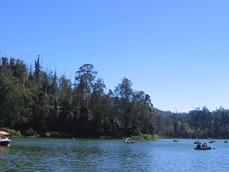 Ooty (Udhagamandalam)