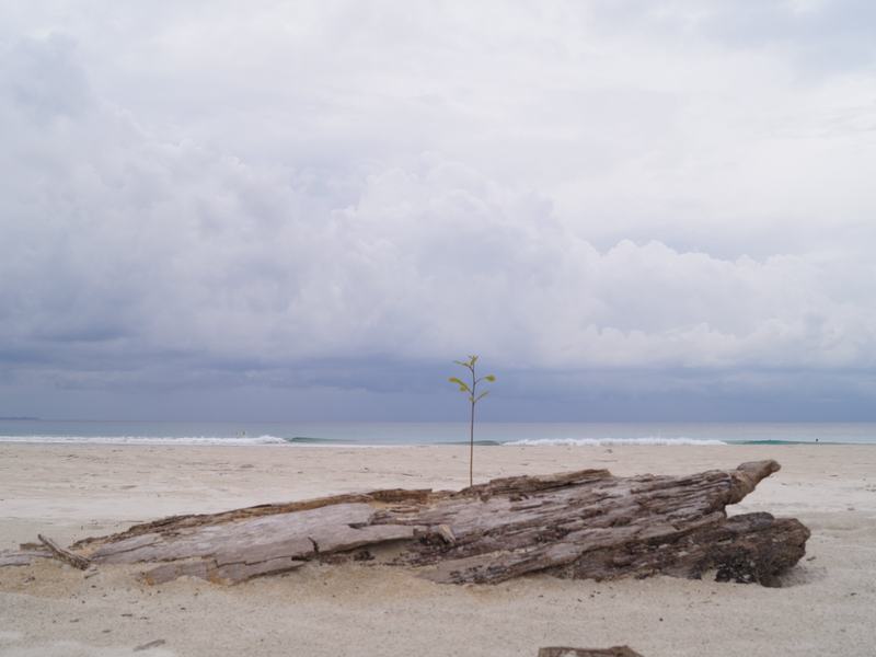 Radhanagar Beach