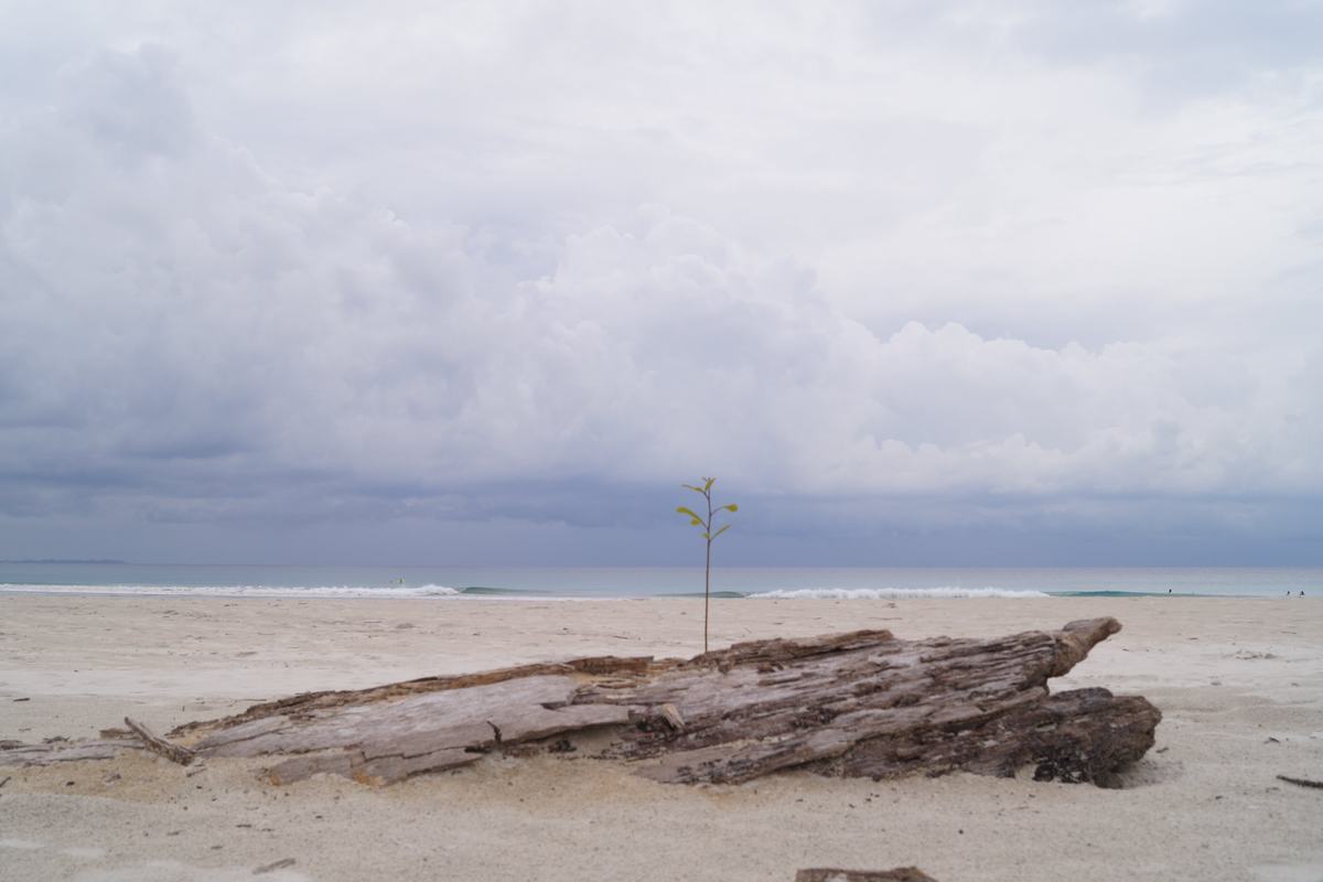 Radhanagar Beach (Andaman and Nicobar Islands)