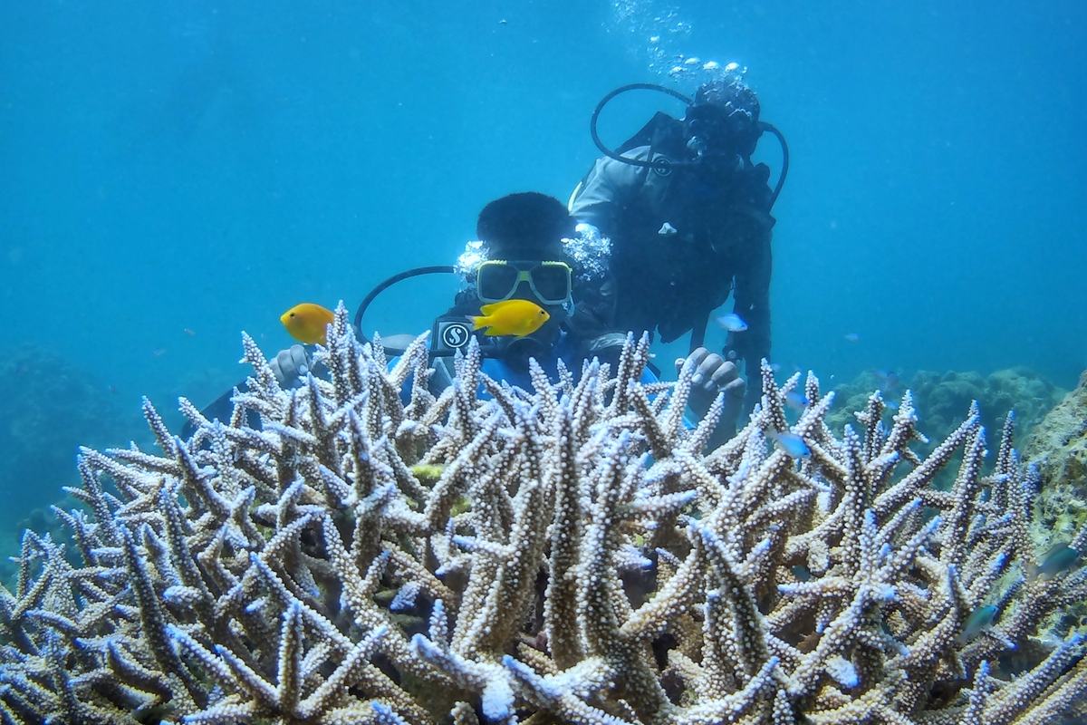 Havelock Island Scuba Diving (Andaman and Nicobar Islands)