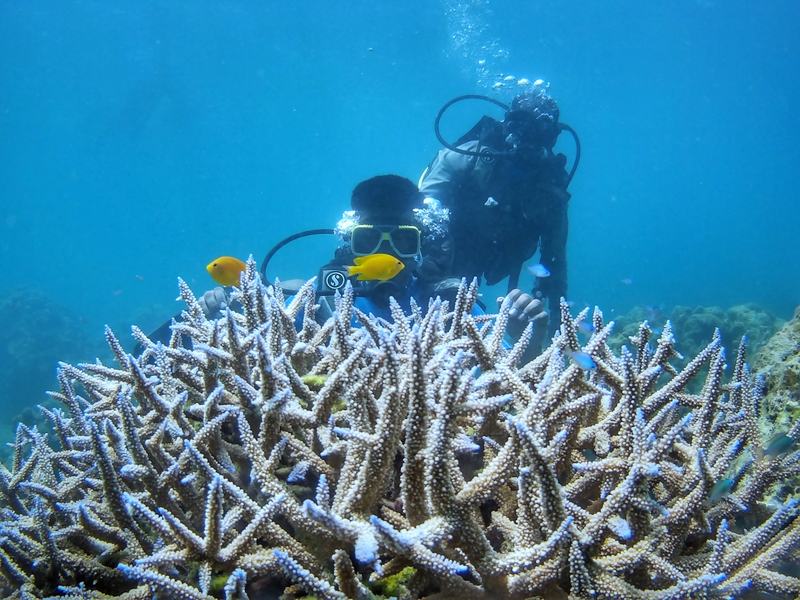 Havelock Island Scuba Diving