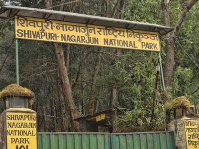 Shivapuri Nagarjun National Park