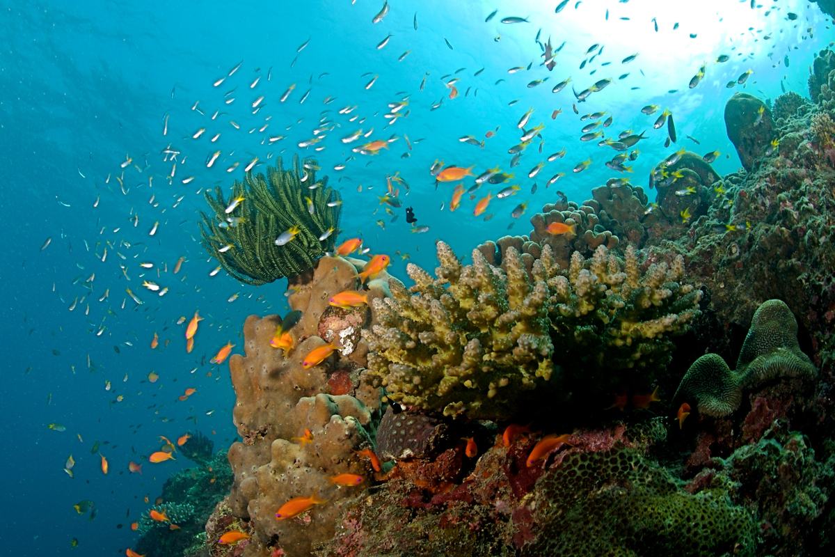 Andaman and Nicobar Islands