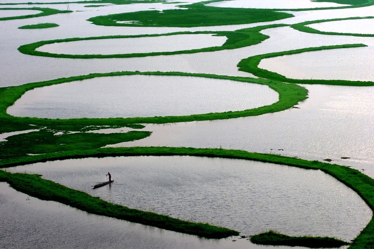 Loktak Lake (Loktak Lake)