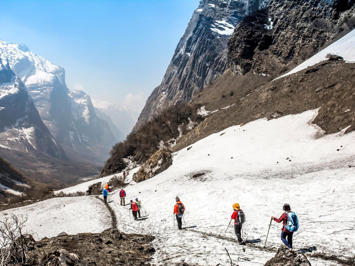 Trekkers with backpacks