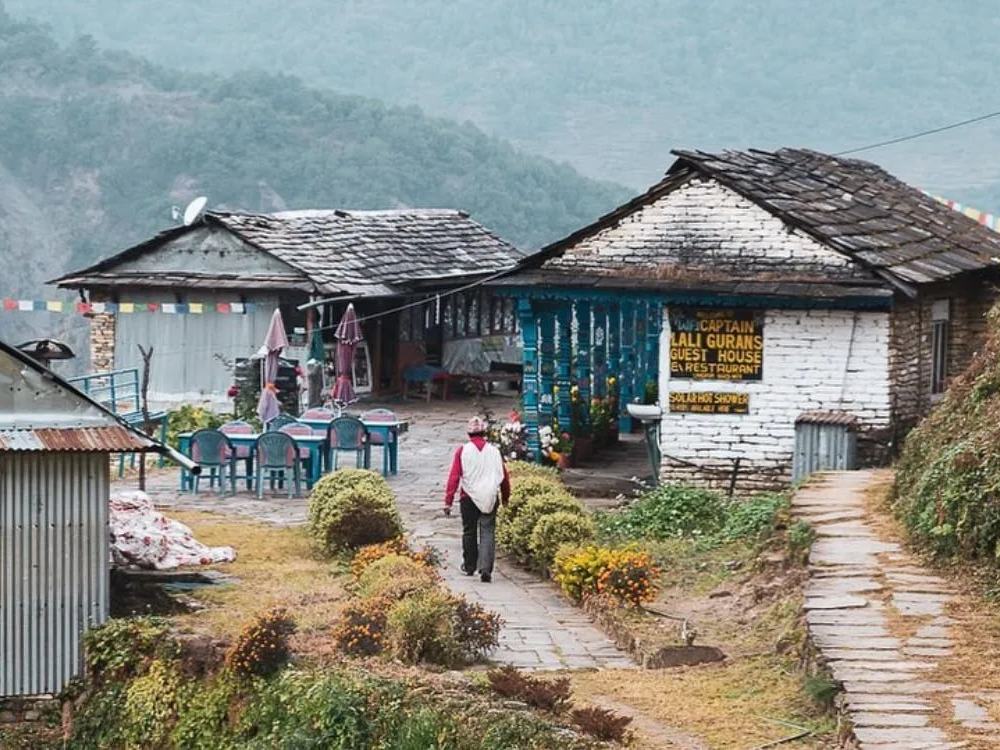 Local Teahouse / Guesthouse