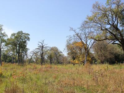 Bardiya National Park
